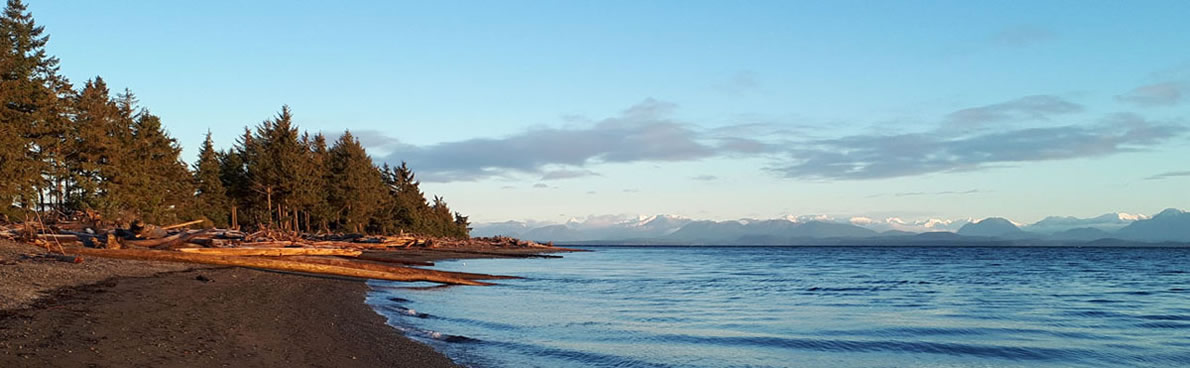 Driftwood and evergreen trees along the shoreline, with mountains across the water